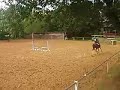 changemen de pied avec le cheval de ma soeur