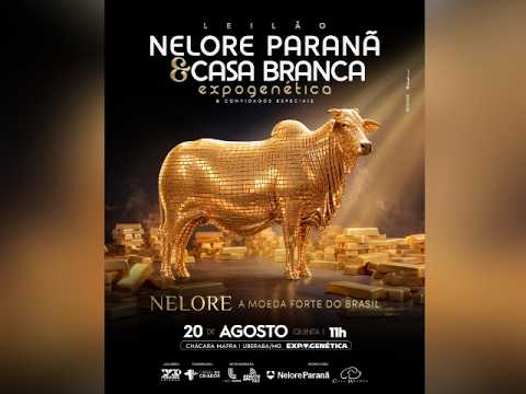 Leilão Nelore Paranã e Casa Branca Expogenética