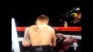 Hopkins knocked out of ring