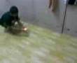 bakul sengal