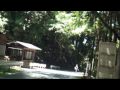 ������ƻ��������������Ӥ��⤯:YouTube������=19��