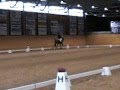 Ciwi Laholm nov -08