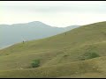 real mountainboard freeride real mountainboard freeride