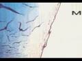 Alunni del Sole - Mara - INCOMPLETO SOLO 0:59