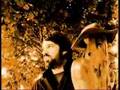 clip video La Maison Tellier Cactus Kid