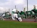 2008 松本山雅F.C. HFL第14節 AC長野パルセイロ戦
