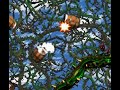 Donkey Kong Country 2 - Krem Quay, part 3