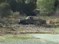Chevy on 42\