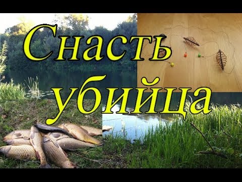убийца плотвы убийца плотвы