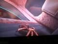 Deadly Creatures Spider in the Truck
