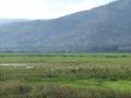 videos de ahola valley in israel (עמק החולה ישראל)