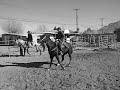 Caballo el Revelde