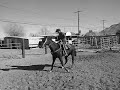 Caballo el Revelde