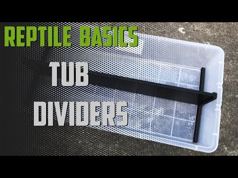 YouTube reptile video