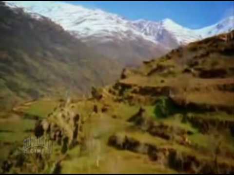 Ver video