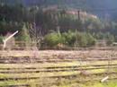 Estaci�n Internacional de Canfranc