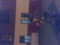 videos de jente setsao 7