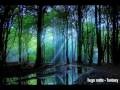 videos de Hugo Notte - Fantasy (live)