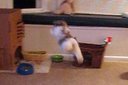 Bailey The Flying Bunny - Binky With a Twist