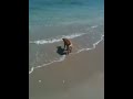 Dior on beach