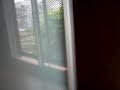 El vestidor de mama