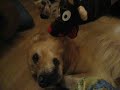 Largo VS Puppet !