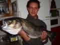 banda del branzino