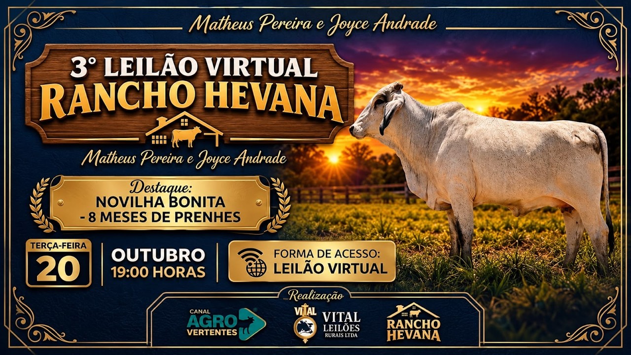 3º LEILÃO VIRTUAL RANCHO HEVANA - MATHEUS PEREIRA E JOYCE ANDRADE - MADRE DE DEUS/MG - 20/10/2026