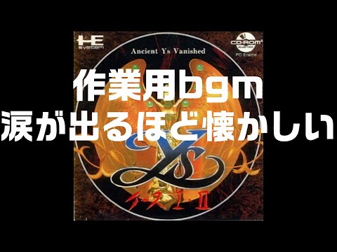 動画