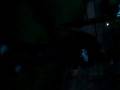 videos de jeh 