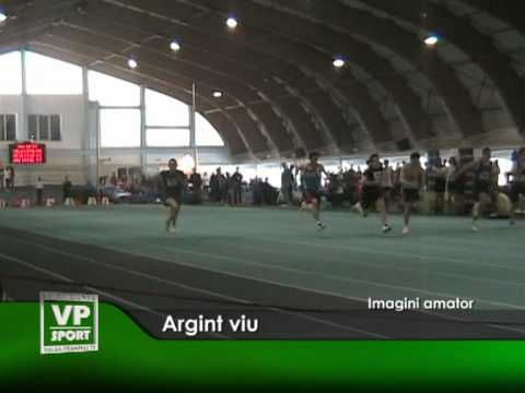 Argint viu