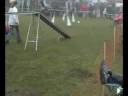 Abraxa Agility 1st place in Buerstadt Abraxa Agility 1st place in Buerstadt
