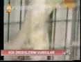 ATV de �evre Kirlili�i Hakk�nda
