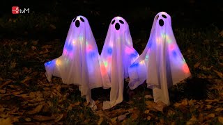 Náhled - Strašidelná stezka DDM Magnet Mohelnice 2025