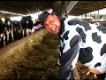 Cow Appreciation