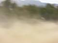 videos de carrera de ensenada a san felipe 2008 off road