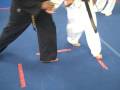 videos de Grandmaster Moreland Hapki Leading techni