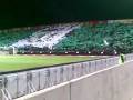 videos de OMONOIA VS anorthosi 4-0 axaxaxaxa