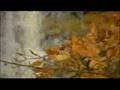 Four Seasons (Spring)
