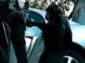 Trunk Monkey (All Clips)