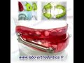 Laboratoire orthodontie et odf
