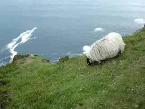 Bunglas cliffs, Donegal county May 30 08