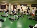 Step CD5 FMH 2008