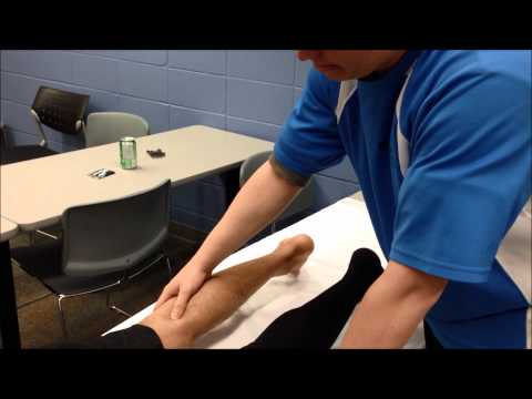 how to locate posterior iliac crest