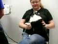 Tia x Nifty puppies 2008 video 32
