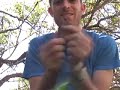Survivor Man -- Brendan James