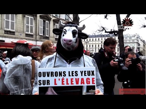 Image de prévisualisation YouTube