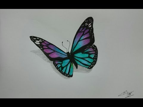 how to draw draw a butterfly