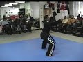 www.detroit-martialarts.com 

alphonso parker doing kata at detroit martial arts institute