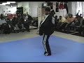www.detroit-martialarts.com 

alphonso parker doing kata at detroit martial arts institute
